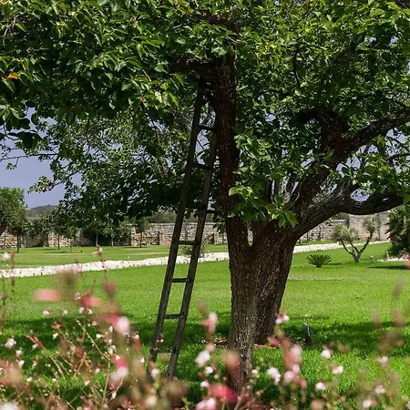 Bed & Breakfast Masseria La Gresca 3*