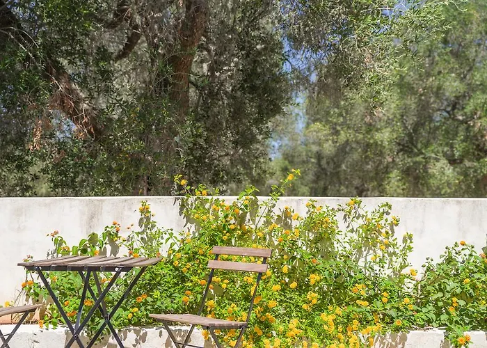 住宿加早餐酒店 Masseria La Gresca 维纳克斯特里奇