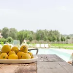 Masseria La Gresca Bed & Breakfast