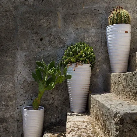 Masseria La Gresca 3* Vignacastrisi