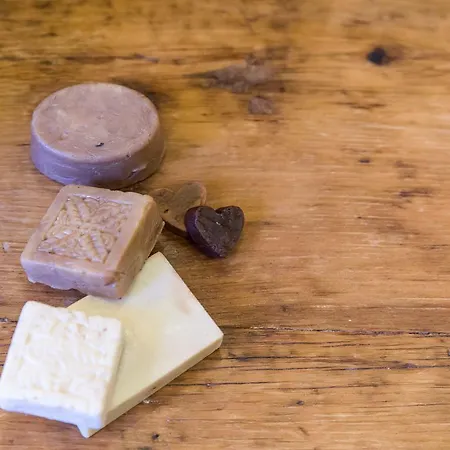 Masseria La Gresca Bed & Breakfast Vignacastrisi