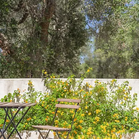 Bed & Breakfast Masseria La Gresca Vignacastrisi